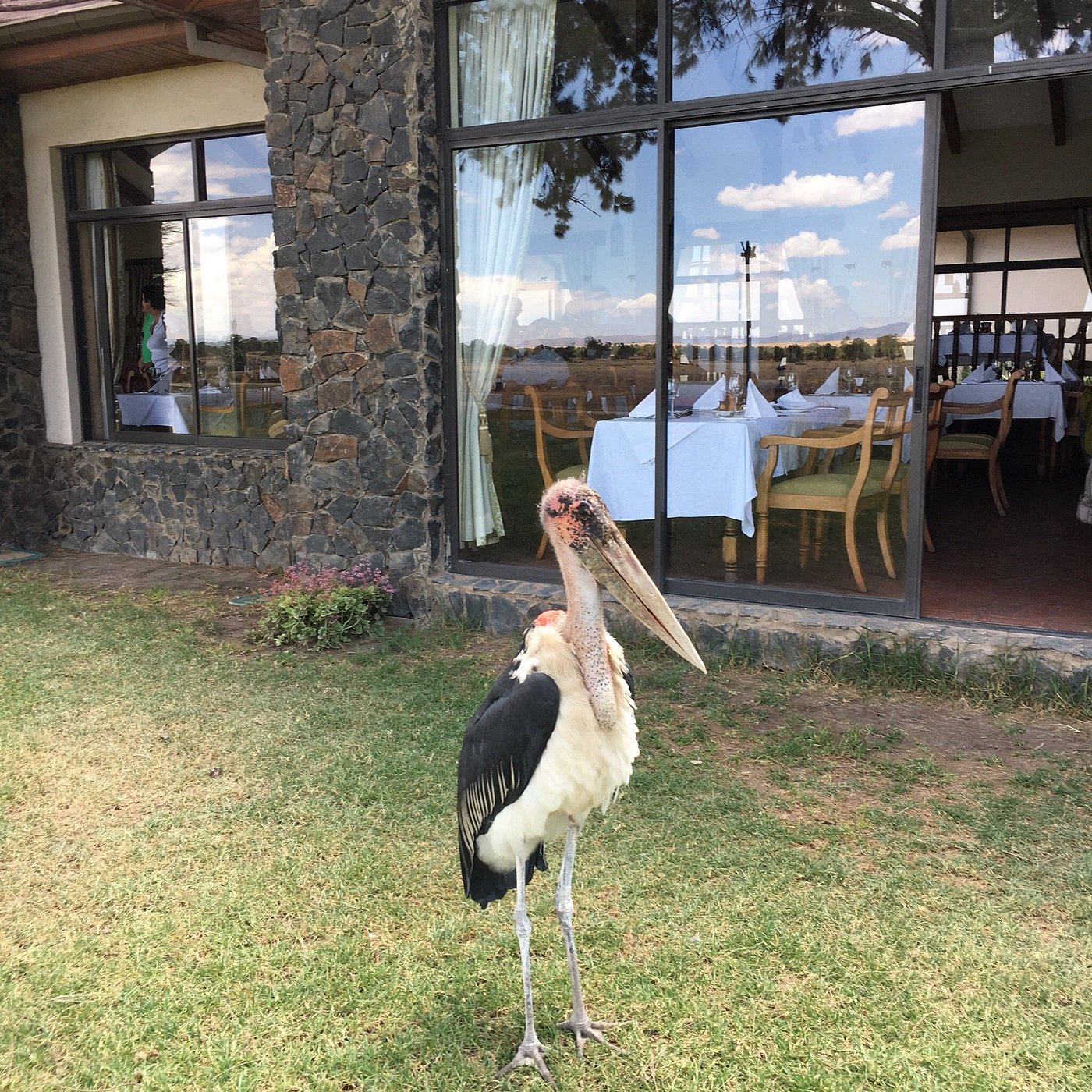 Sweetwaters Serena Camp gallery 2